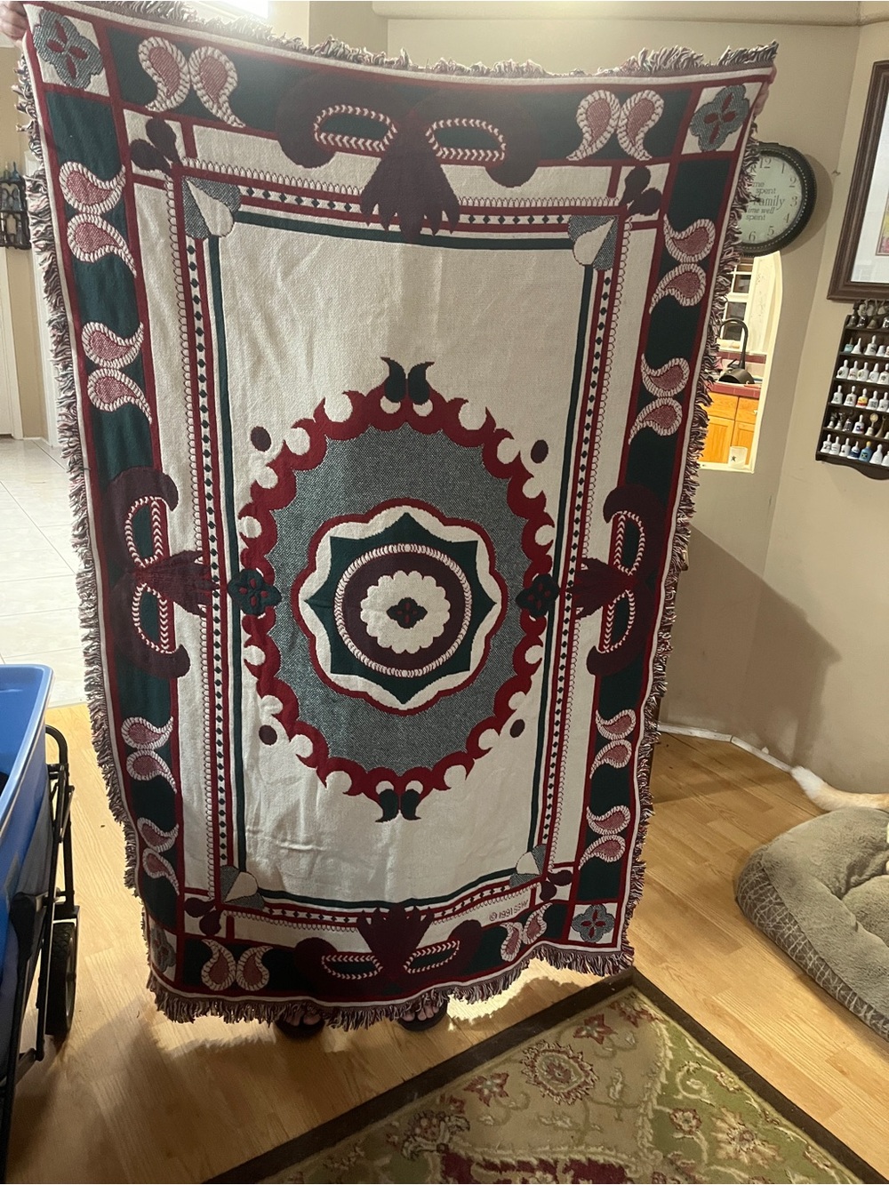 Decorative Fringed Medallion Throw Blanket - Red, Green, Cream